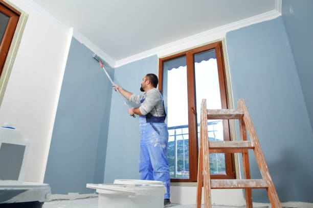 Best Mold Removal for HVAC Installations  in Soda Springs, ID