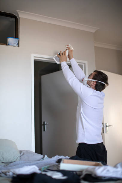 Best Emergency Mold Remediation  in Soda Springs, ID