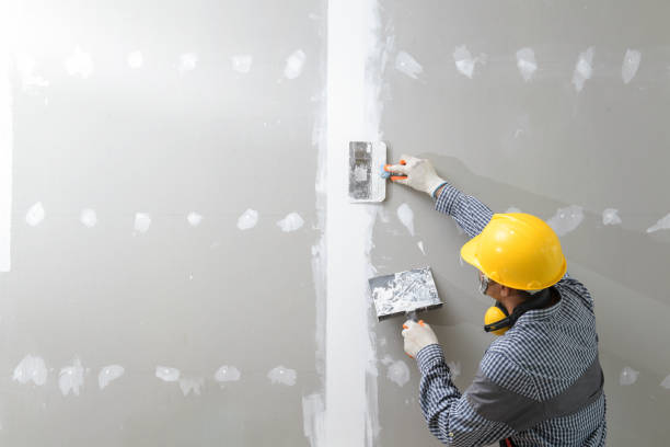 Best Mold Documentation for Insurance Claims  in Soda Springs, ID