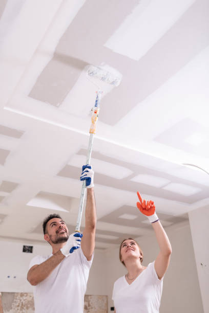 Best Biohazard Mold Removal  in Soda Springs, ID