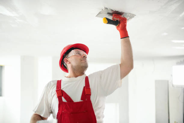 Best Basement Mold Removal  in Soda Springs, ID