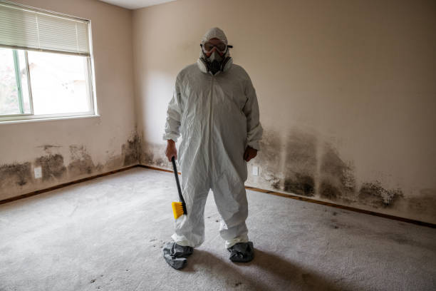 Best Airborne Mold Testing  in Soda Springs, ID