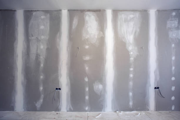 Best Water Damage & Mold Remediation  in Soda Springs, ID